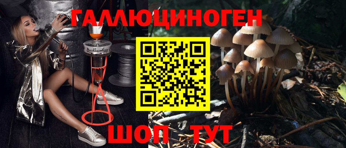 Псилоцибиновые грибы прущие грибы Минусинск