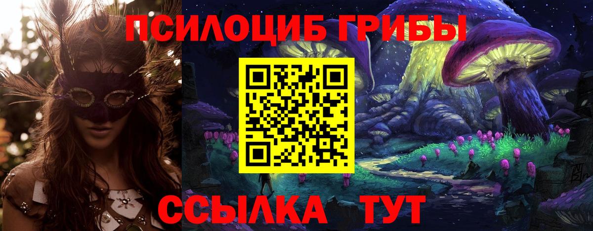 Минусинск  Галлюциногенные грибы прущие грибы  Псилоцибиновые грибы MAGIC MUSHROOMS  Вход с VPN 